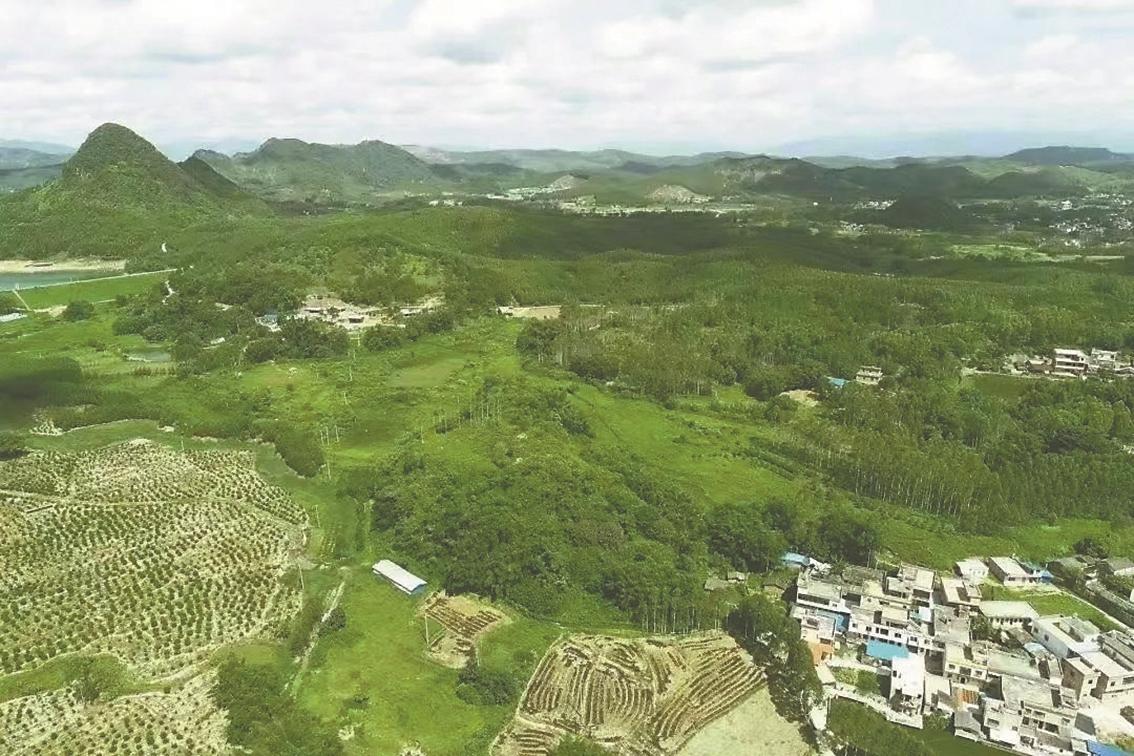 kaiyun中国平台2024广东文旅加速跑！ 传承创新推动旅游产品迭代升级(图2)