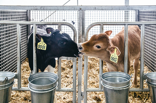 文化和旅游部提出2024年文旅产业kaiyun开云网站发展“关键词”(图7)