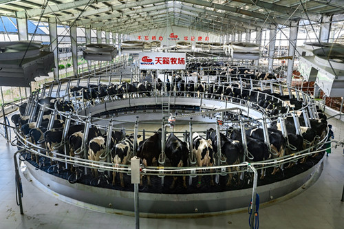 文化和旅游部提出2024年文旅产业kaiyun开云网站发展“关键词”(图10)