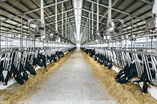 文化和旅游部提出2024年文旅产业kaiyun开云网站发展“关键词”(图8)