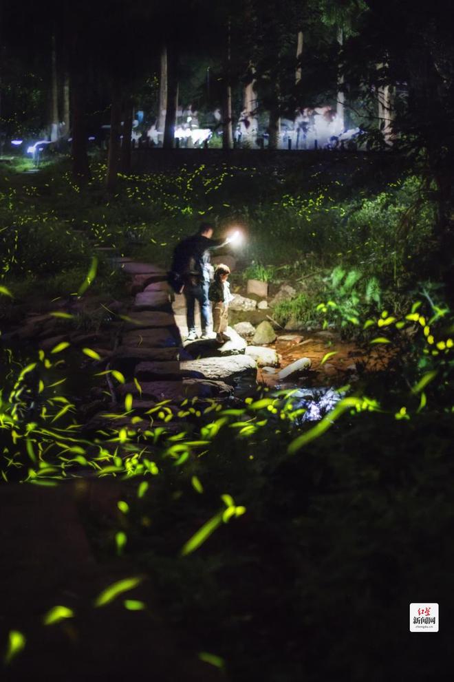 展丝路山水 创5A景区 2024天台山南丝路文化旅游季暨萤火虫文化旅游季正式启幕(图4) 展丝路山水 创5A景区 2024天台山南丝路文化旅游季暨萤火虫文化旅游季正式启幕(图4)