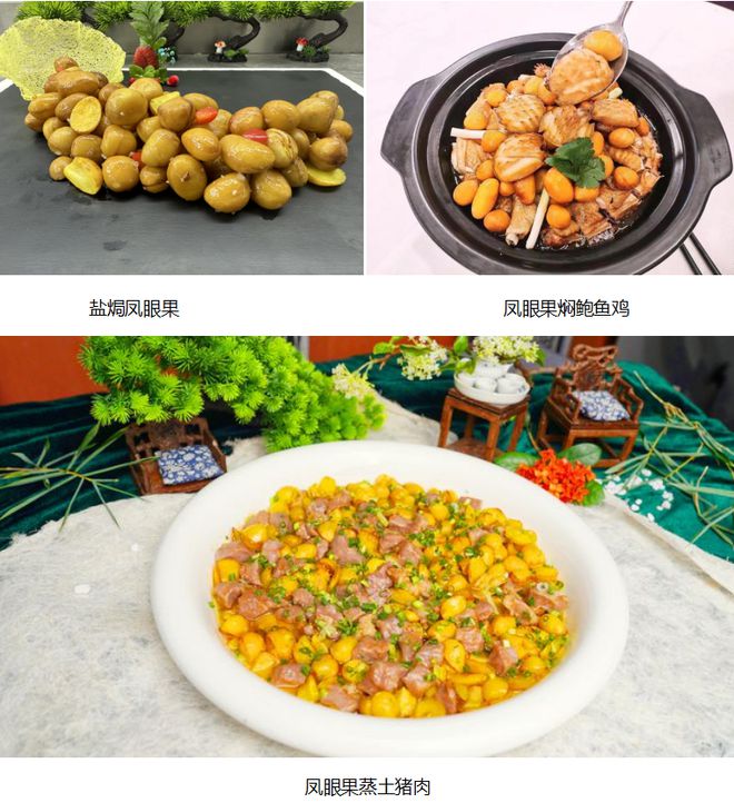 kaiyun中国官方网站8月27日开幕！2024年蓬江·杜阮凤眼果美食文化旅游活动精彩亮点今日全剧透(图1)