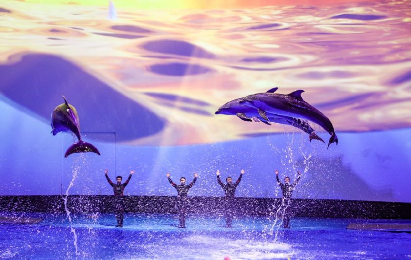 2024重庆中高考考生旅kaiyun中国官方网站游优惠景点大全（持续更新）(图3)