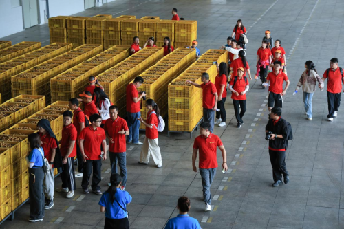 够野你就来——2024中国南酸枣之乡旅游文化音乐节齐云山登山节圆满收官(图9) 够野你就来——2024中国南酸枣之乡旅游文化音乐节齐云山登山节圆满收官(图9)