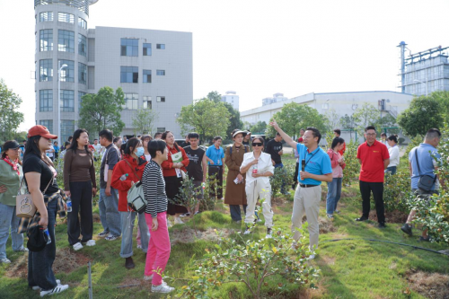 够野你就来——2024中国南酸枣之乡旅游文化音乐节齐云山登山节圆满收官(图4) 够野你就来——2024中国南酸枣之乡旅游文化音乐节齐云山登山节圆满收官(图4)