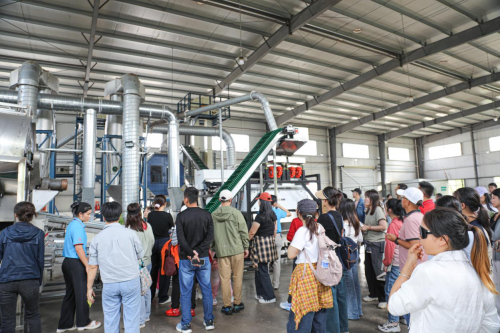 够野你就来——2024中国南酸枣之乡旅游文化音乐节齐云山登山节圆满收官(图6) 够野你就来——2024中国南酸枣之乡旅游文化音乐节齐云山登山节圆满收官(图6)