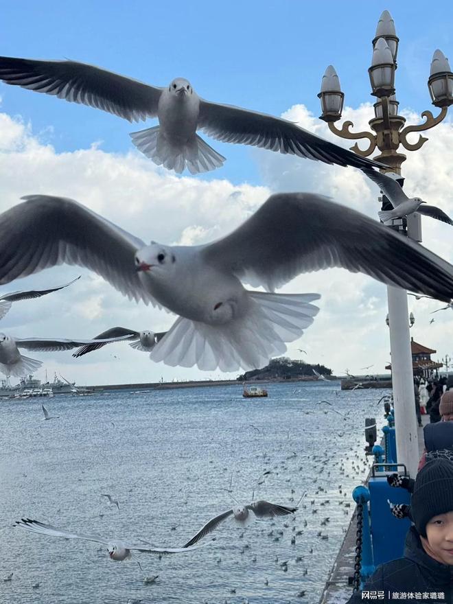 一家人2025青岛旅游团报价?青岛旅游4日游跟团攻略+景点打卡(图1) 一家人2025青岛旅游团报价?青岛旅游4日游跟团攻略+景点打卡(图1)