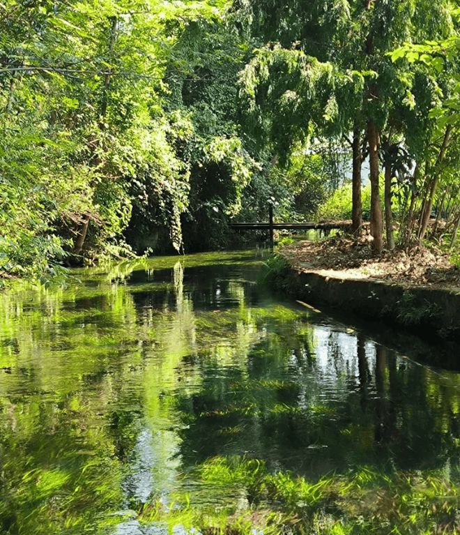 桂林亲子游桂林五天四晚攻略!费用明细+2025必去景点(图2) 桂林亲子游桂林五天四晚攻略!费用明细+2025必去景点(图2)