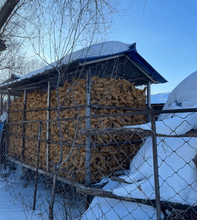 哈尔滨5日游最佳路线哈尔滨必去景点+五天四晚攻略(图1)