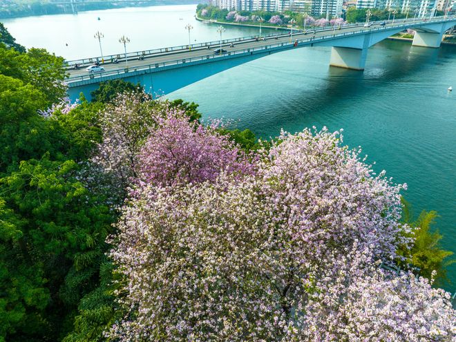 广西柳州3日游经典路线最新版：报团景点+住宿建议+实用攻略(图5)