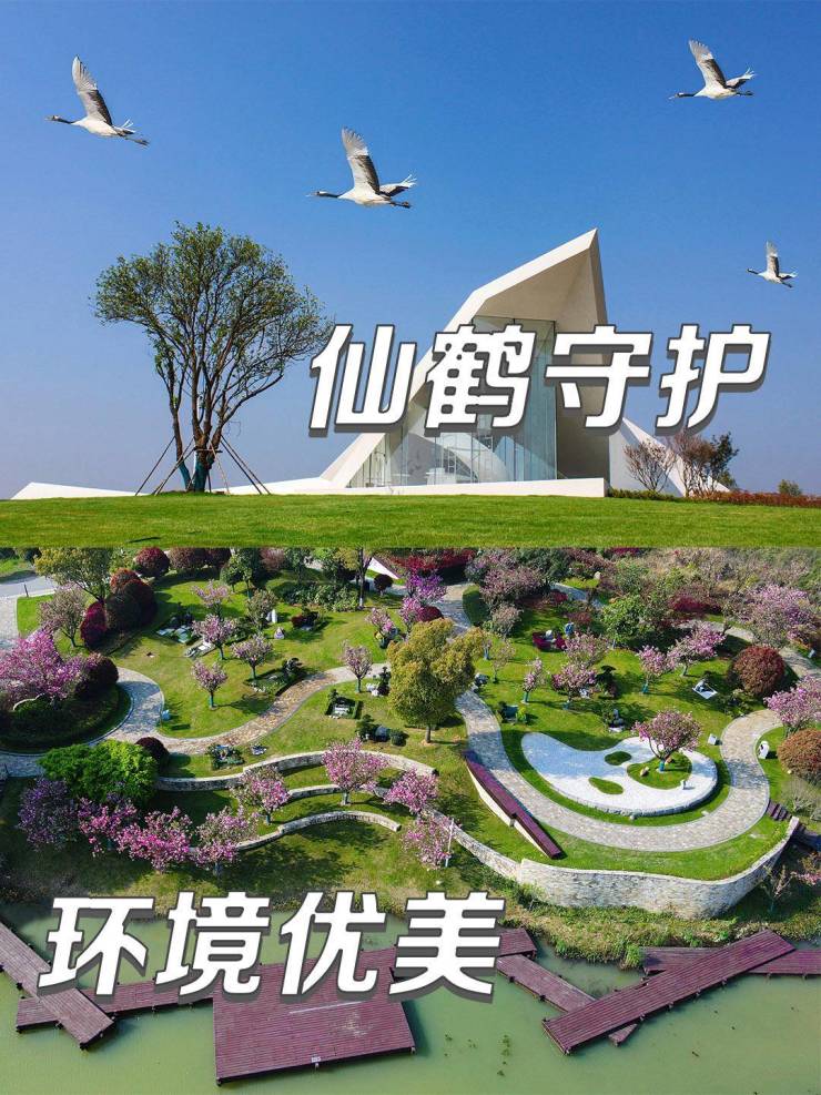 2026年价格明细_武汉墓地购买分析(图3)