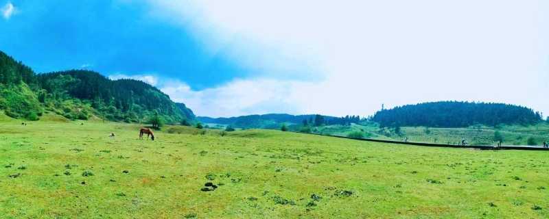 3月洛阳旅游景点推荐2024 有旅行计划的快看(图1) 3月洛阳旅游景点推荐2024 有旅行计划的快看(图1)