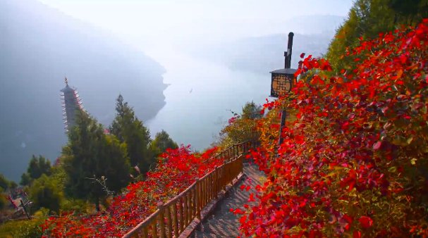 2024重庆巫山看红叶经典观赏线路(景点+路线+攻略)(图4) 2024重庆巫山看红叶经典观赏线路(景点+路线+攻略)(图4)