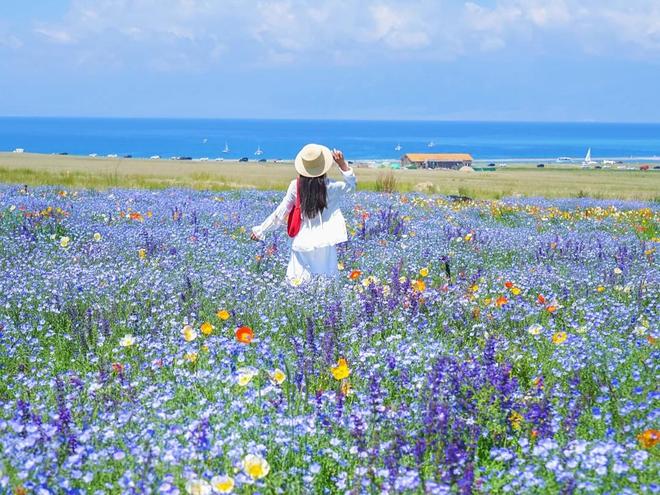 2025 新疆八日游纯玩团攻略:8天7晚必去景点与特色美食全解析(图3) 2025 新疆八日游纯玩团攻略:8天7晚必去景点与特色美食全解析(图3)