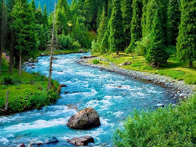 2025 新疆八日游纯玩团攻略:8天7晚必去景点与特色美食全解析(图5) 2025 新疆八日游纯玩团攻略:8天7晚必去景点与特色美食全解析(图5)