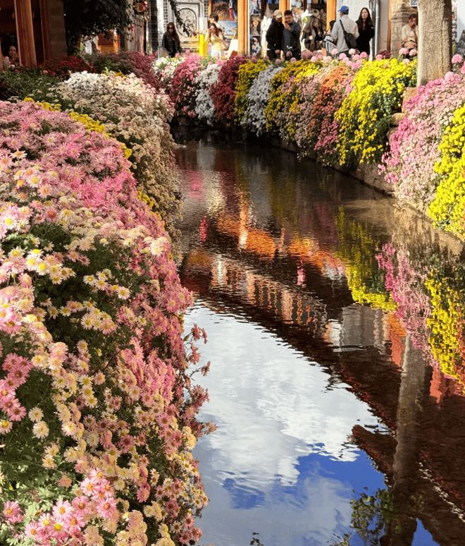 云南5天4晚旅游攻略费用篇!最佳路线必去景点(图1) 云南5天4晚旅游攻略费用篇!最佳路线必去景点(图1)